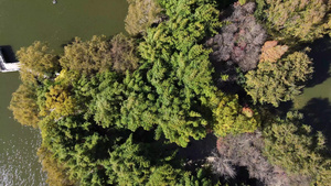俯拍湖水秋天植物唯美镜头15秒视频