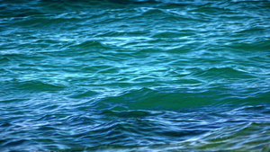 深蓝深海自然地平线24秒视频