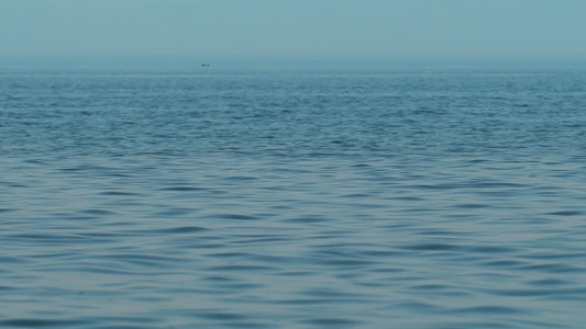 具有平静波浪背景环环的海洋水表面视频