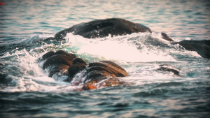 海中岩石上的海浪29秒视频