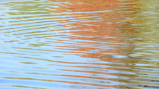 在水面上运行的多彩波纹视频