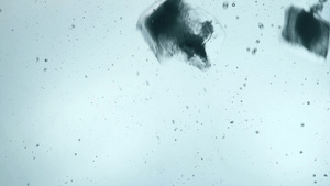 在蓝水中抛出清晰的冰块8秒视频