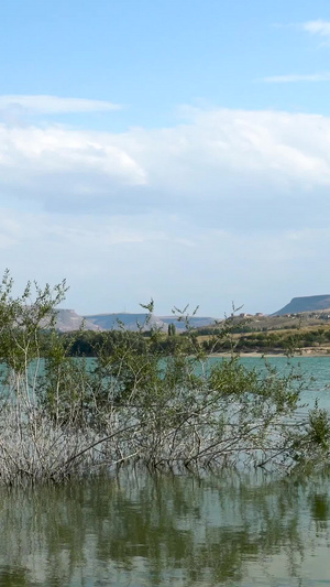 土耳其卡帕多奇亚湖泊延时天空白云树叶摇摆合集天空背景30秒视频