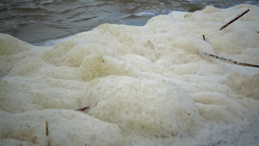 脏水表面的泡沫自然水富营养化湖泊生态学等视频