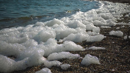 由于脏水自然水富营养化湖泊生态等原因湖岸上泡沫泡沫视频