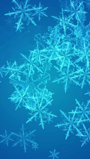 梦幻唯美冰晶雪晶圣诞节背景视频冬天，雪花，雪晶40秒视频