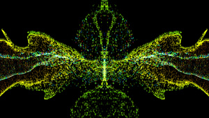 在黑暗背景上形成蝴蝶的抽象流体粒子21秒视频