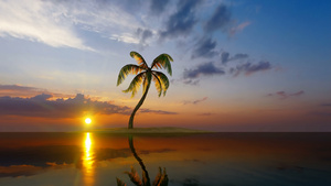黄夕在小岛上的一棵椰枣树上28秒视频