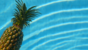 漂浮在游泳池的蓝色水中的菠萝11秒视频