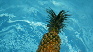 漂浮在游泳池的蓝色水中的菠萝健康生有机食品多汁的水果14秒视频