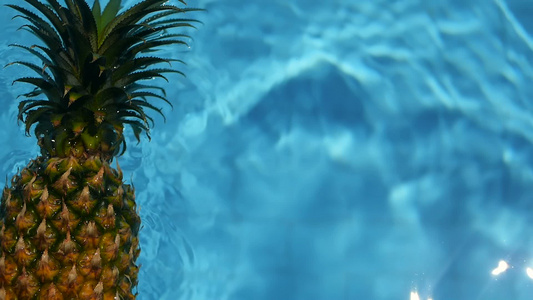 漂浮在游泳池的蓝色水中的菠萝健康生有机食品多汁的水果视频
