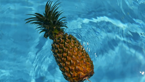 漂浮在蓝色水中的菠萝10秒视频