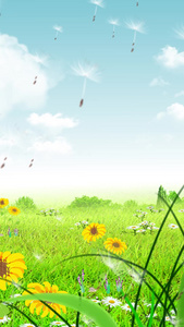 清新蓝色天空春天花朵ae背景绿叶背景视频
