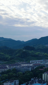 大自然山川森林植物竖屏航拍视频