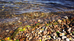 自然背景岸上有清晰的水和岩石14秒视频