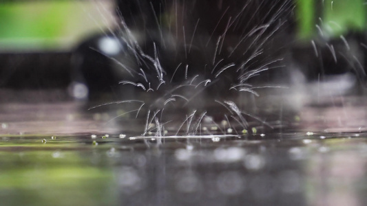 雨滴落在水面上水坑特写低角度视图浅景深自然灾害洪水视频