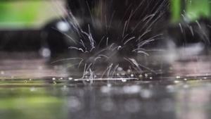 雨滴落在水面上水坑特写19秒视频