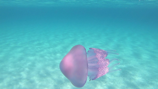 一位年轻美女在水下慢动作拍摄在透明的蓝色中游泳身上视频