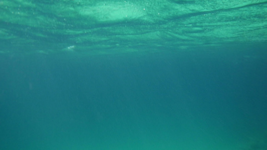 水下大海表层视频