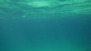 水下大海表层36秒视频