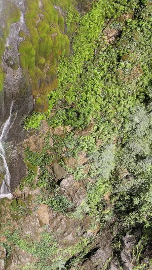 航拍国家5A级旅游景区重庆黑山谷飞鱼瀑布仿古栈道42秒视频