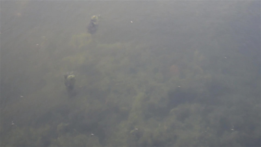 深蓝色海底背景抽象图案纹理和颜色水生生物海洋生活背景视频