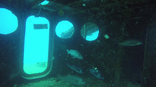技术沉船海洋水肺潜水旧生锈的战时海军残骸留在海底潜水员视频