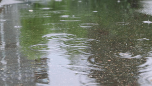 雨滴在水坑表面喷洒的雨水60秒视频