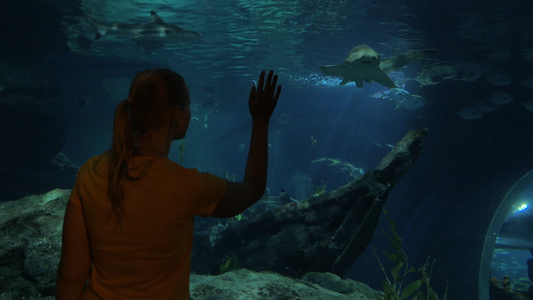 女人看着鲨鱼在大水族馆的海洋世界砰牛泰国视频