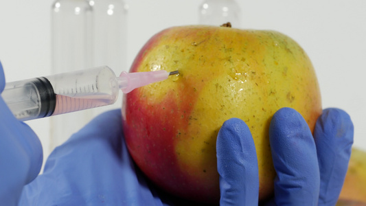 携带手套的妇女使用注射器对水果进行基因改造视频