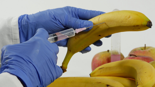 携带手套的妇女使用注射器对水果进行基因改造视频