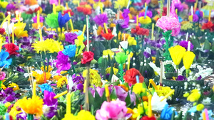 由花卉和天然材料制成的装饰11秒视频