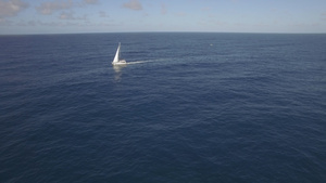 白色游艇在清空的海洋蓝水中航行直向明天毛里提乌斯岛15秒视频