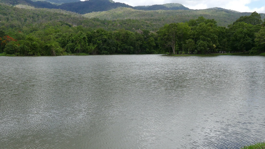 夏季公园中的森林湖泊和山岳风景视频