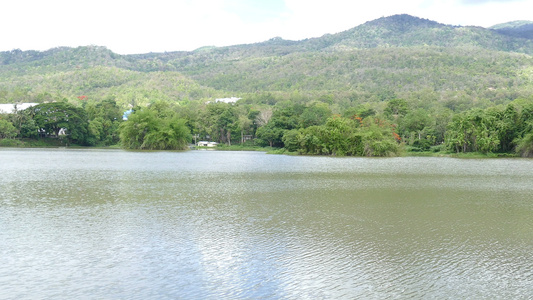 夏季公园中森林湖泊山地和橙色孔雀花的景观视频