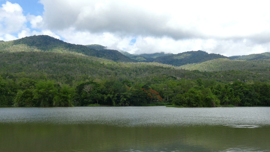 夏季公园中的森林湖泊和山岳风景视频