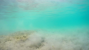 漂浮在地表波上的照相机摄像头所污染的海床14秒视频