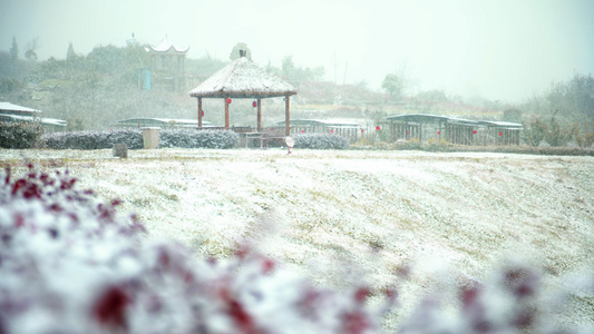 4k实拍冬天下雪素材视频