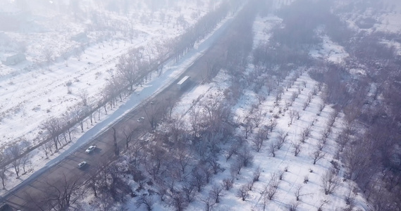冬村和公路雾中有汽车视频