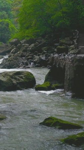 贵州黔南野瀑布大瀑布视频