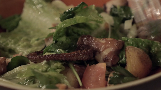 用章鱼和蔬菜食用沙拉视频