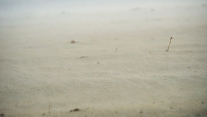 沙尘暴风沙在海滨沙滩沙漠上流沙18秒视频
