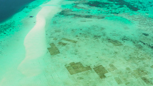 在环礁湖中沙滩上有绿石水巴拉巴克帕拉旺菲利平斯15秒视频