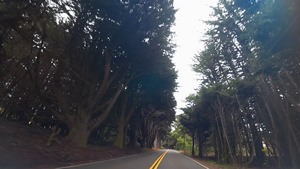 汽车开往美国沿厚厚的树丛的道路17秒视频