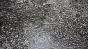 沥青上的雨滴19秒视频