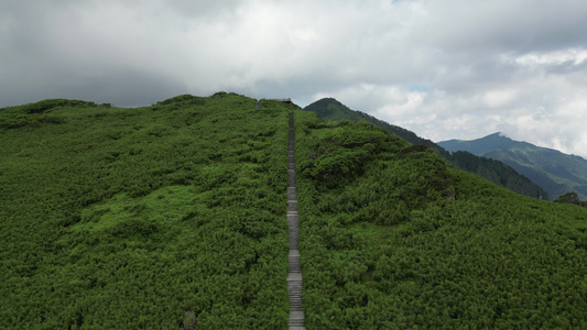 航拍湖北神农架神农谷景区风光视频