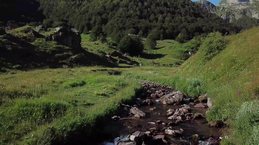 山里有小河山里有比利牛斯人视频