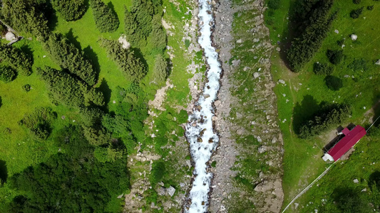 森林里的河流从上到下的风景视频