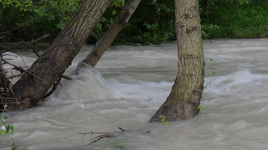 河水中泥流的风景视频