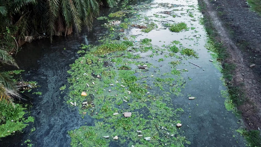暗河上的垃圾流生态问题环境污染等情况视频
